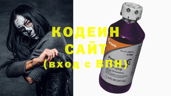 прущие крисы Заводоуковск