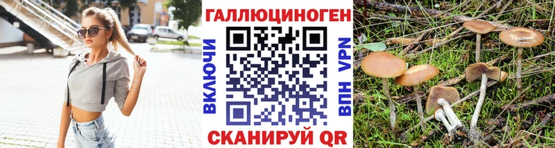 Купить  Краснокаменск  Галлюциногенные грибы Magic Shrooms 